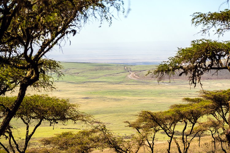 TZA ARU Ngorongoro 2016DEC23 033